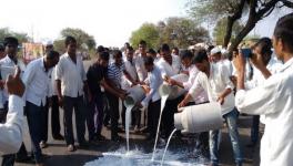 महाराष्ट्र दूध उत्पादकों की हड़ताल 