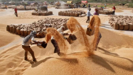 भारत में लंबे समय से मौजूद कृषि संकट की जड़ क्या है?