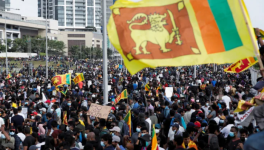 श्रीलंका का आर्थिक संकट : असली दोषी कौन?