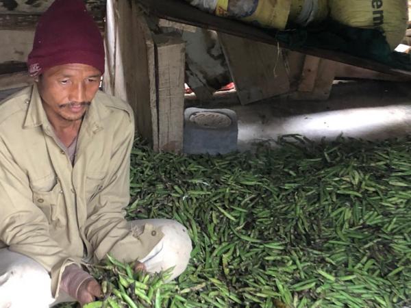 त्यूणी में खेती कर रहे नेपाली मूल के पेरूमल.jpeg