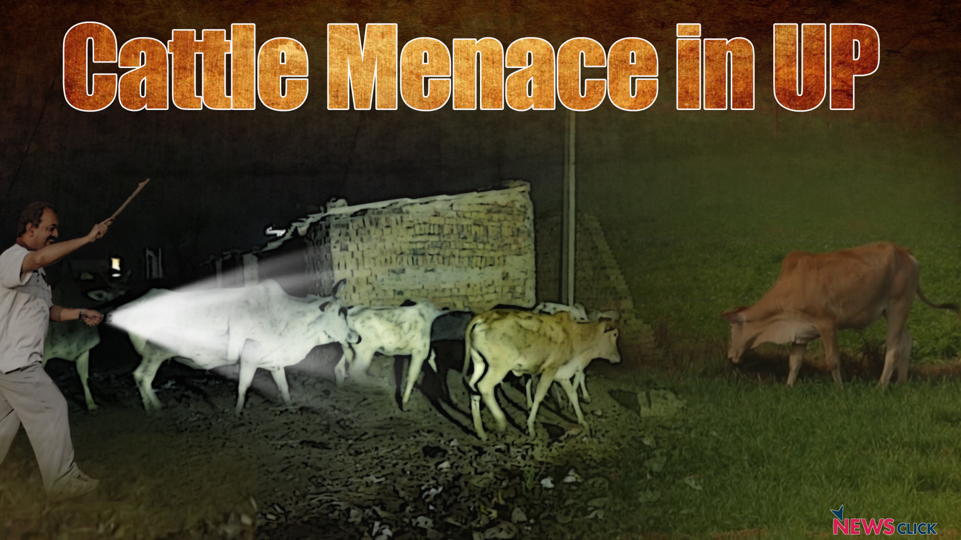 Cattle Menace