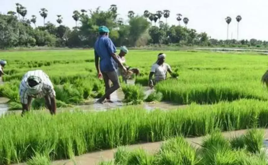 तमिलनाडु चुनाव: एआईएडीएमके की राह का रोड़ा बनते पीड़ित किसान