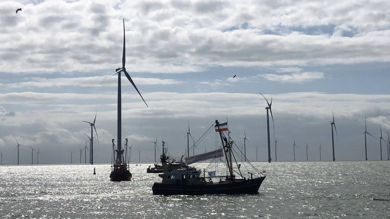 नीदरलैंडः मछुआरों को फ्रिस्लान विंड फार्म परियोजना को लेकर चिंता