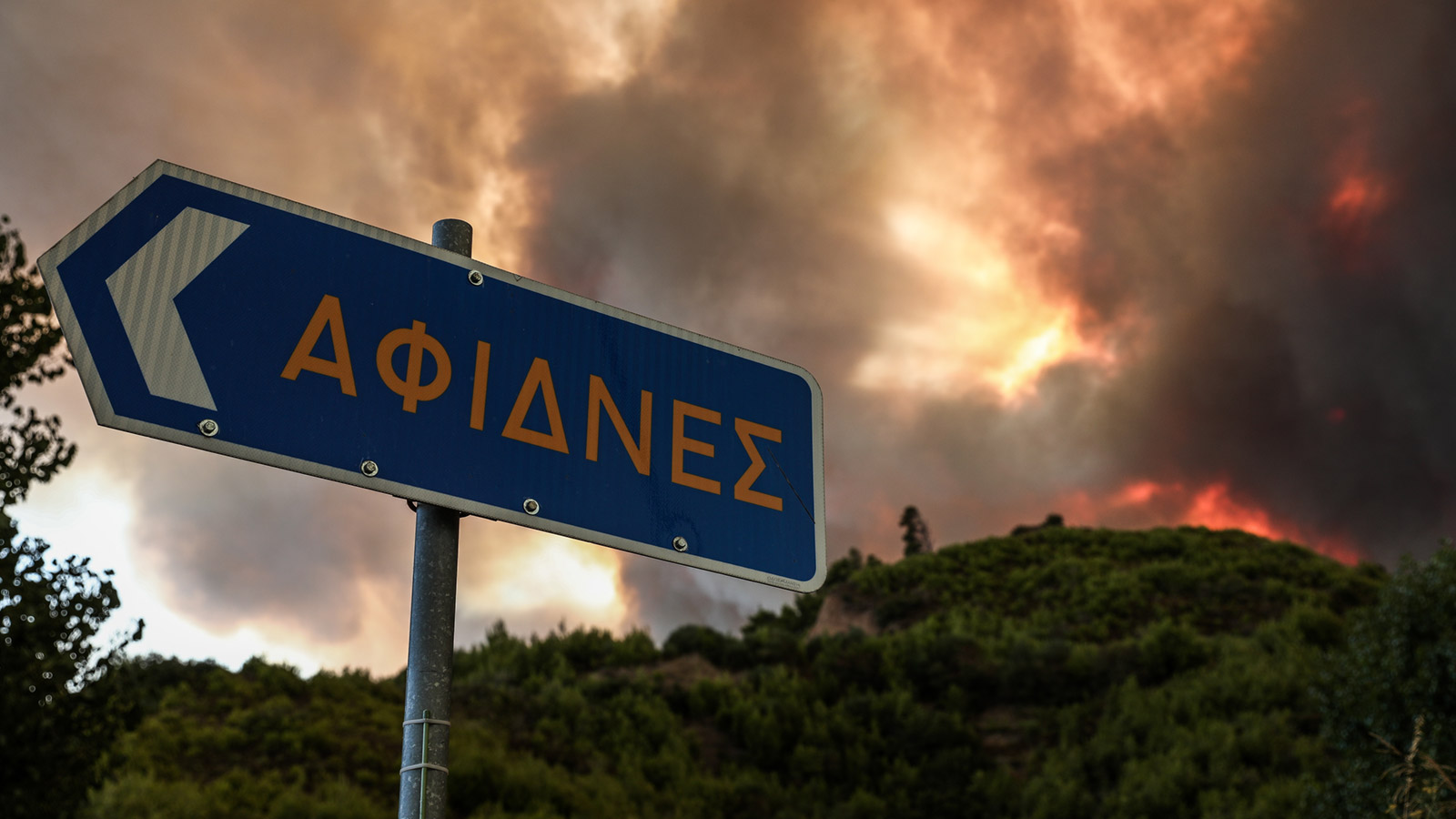 तुर्की और ग्रीस में फैली विनाशकारी जंगल की आग