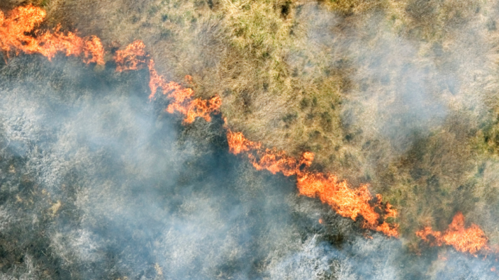 यूएन की जलवायु रिपोर्ट में तबाही की चेतावनी, वैश्विक तापमान में वृद्धि को रोकने के लिए तत्काल वैश्विक कार्रवाई का आह्वान