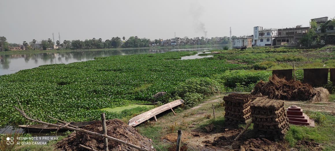 ग्राउंड रिपोर्ट: राष्ट्रीय पुरस्कार से सम्मानित बिहार की धनौती नदी के अस्तित्व पर संकट !