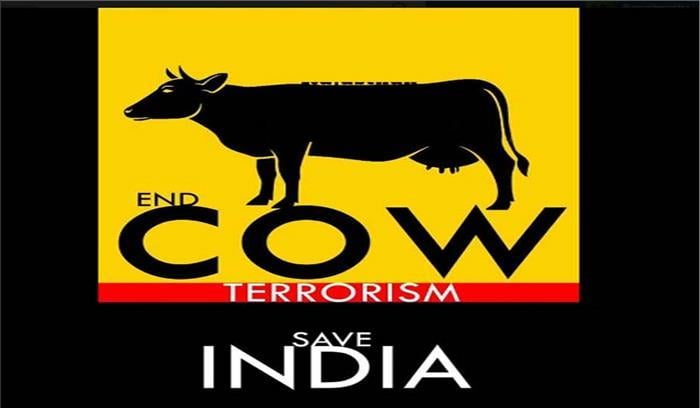 cow terrorism 