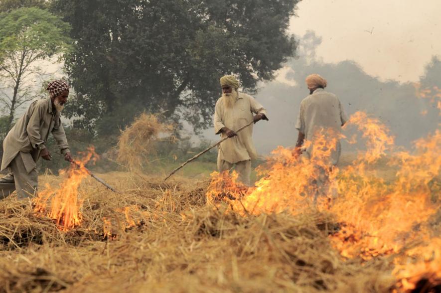 खेत में पराली जलाते किसान (फाइल फोटो)