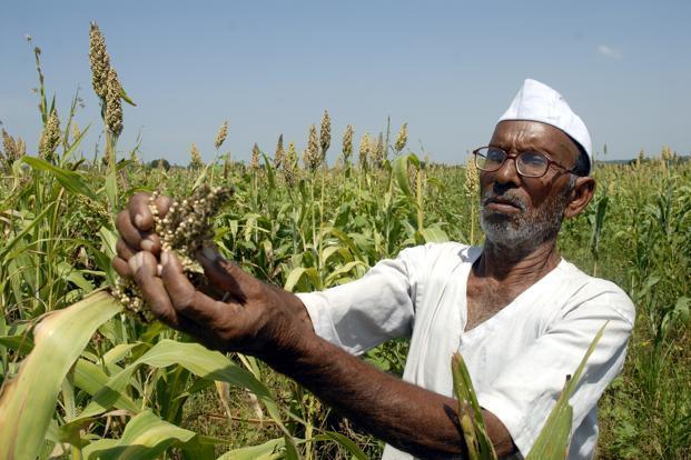 महाराष्ट्र फसल ऋण