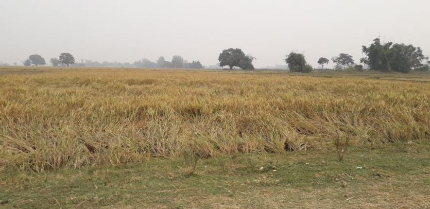 पराली जलाने पर शासन