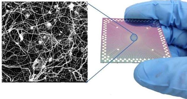 Artificial Metallic Nanowire Network