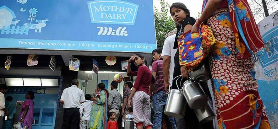 mother dairy