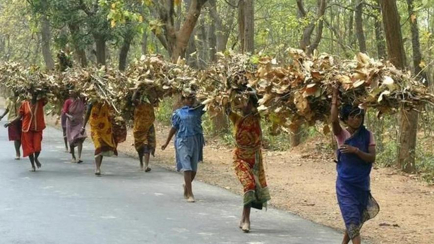 ईआईए अधिसूचना का मसौदा किस प्रकार से आदिवासियों और वनवासी समुदायों के अधिकारों से समझौता करना है