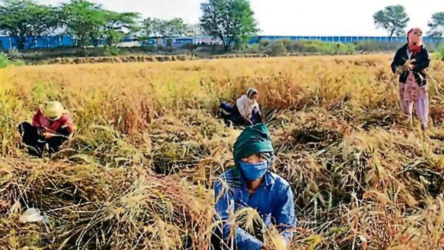 क्यों बदहाल अर्थव्यवस्था के संकटमोचक बने ग्रामीण क्षेत्र में संकट के बादल मंडरा रहे हैं?