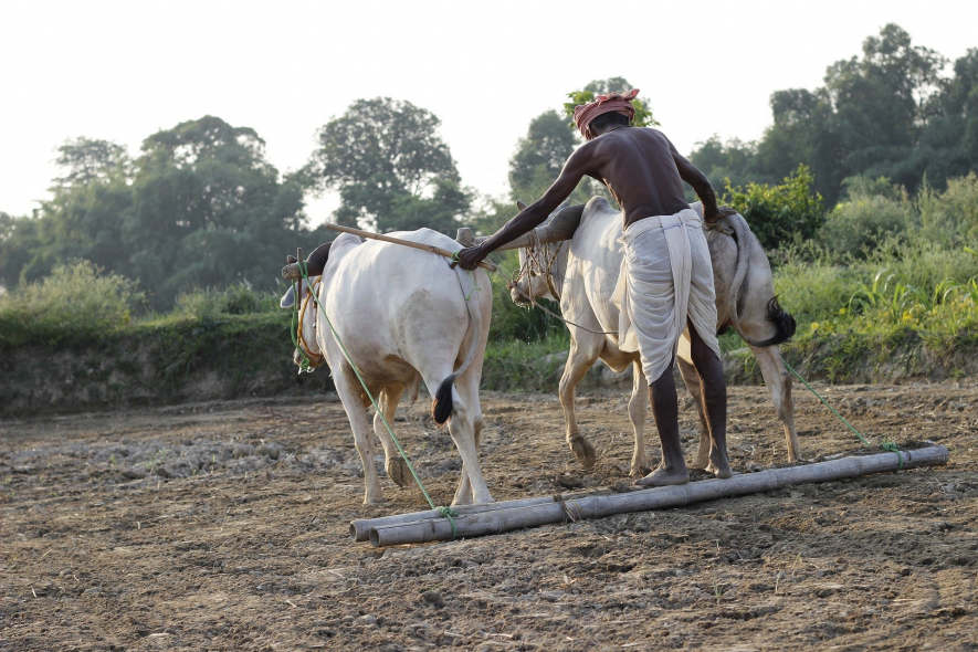 नए भारत में बदहाल किसान