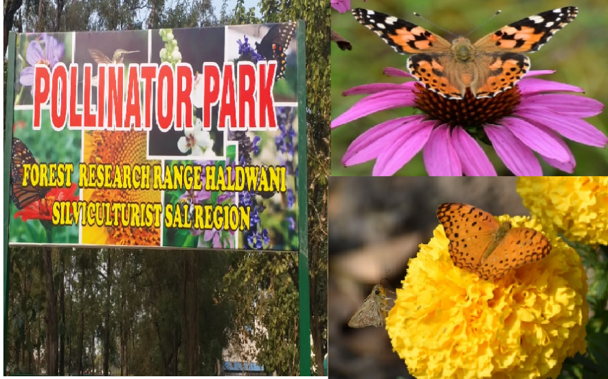 pollinator park