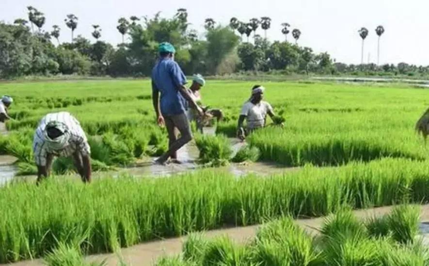 चुनाव से पहले तमिलनाडु पर कृपा बरसाने लगे राष्ट्रीय नेता, अन्नाद्रमुक के कृषि क़र्ज़ माफ़ी की आलोचना 
