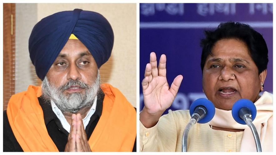 क्या पंजाब में बसपा और शिरोमणि अकाली दल का गठबंधन मजबूरी है?