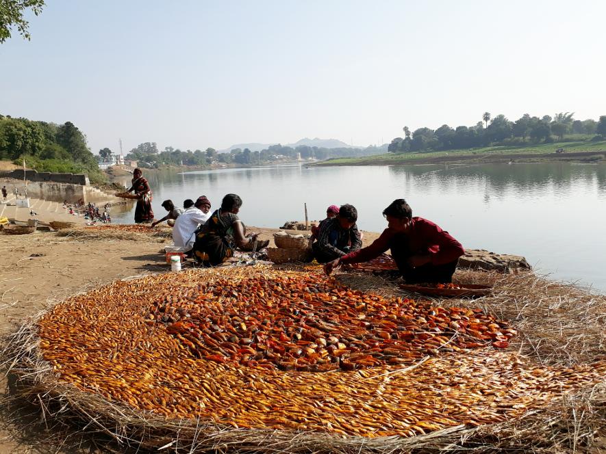   मध्य-प्रदेश के नर्मदा नदी पर बने बरगी बांध के जलाशय में वर्ष 1995-96 में 530 टन तक मछली उत्पादन हुआ था, जबकि बीते कुछ वर्षों में यह उत्पादन घटते हुए सौ टन से भी नीचे आ गया है।