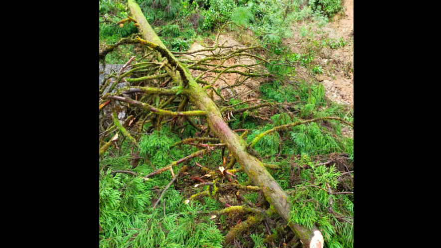 Close Encounter with Nature