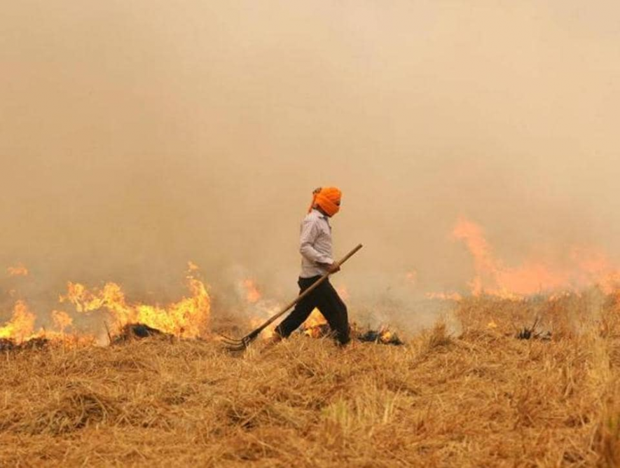 Stubble-burning