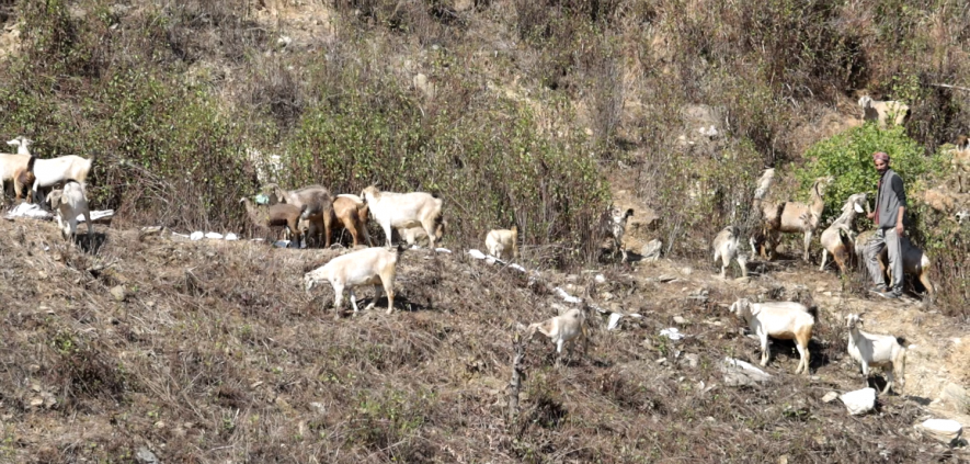 Uttarakhand