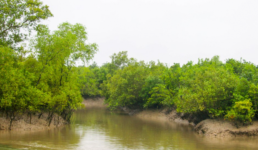 Sunderbans