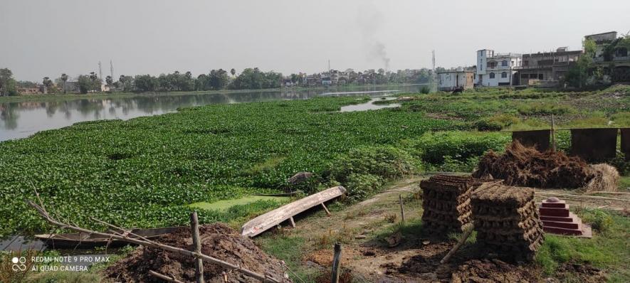 ग्राउंड रिपोर्ट: राष्ट्रीय पुरस्कार से सम्मानित बिहार की धनौती नदी के अस्तित्व पर संकट !