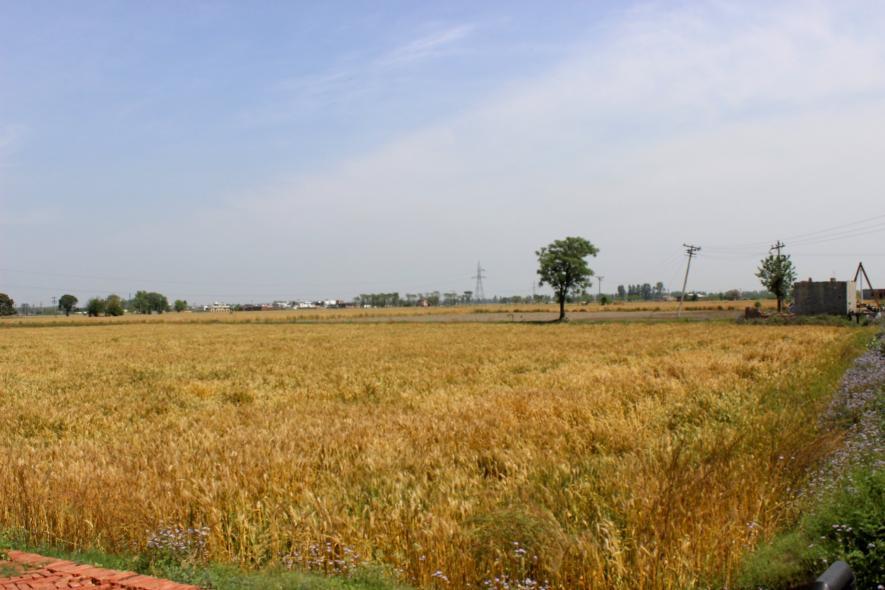 Haryana Land Reforms