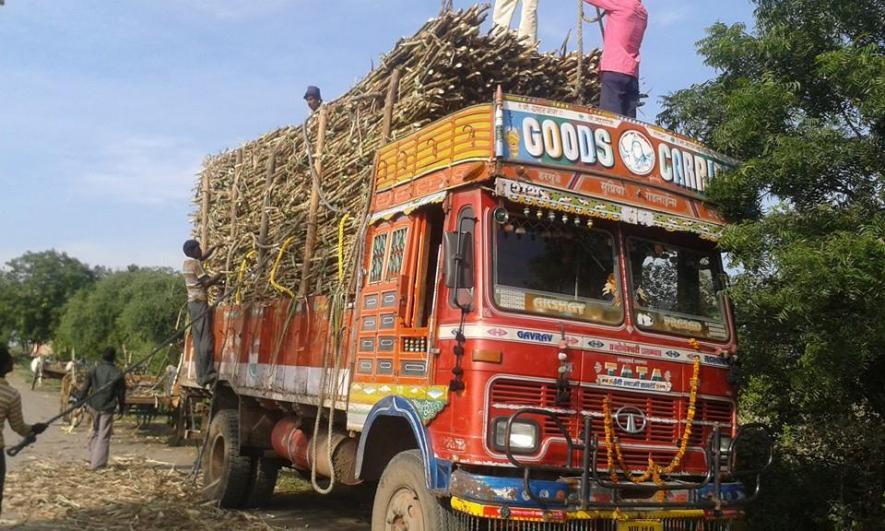 sugarcane farmers