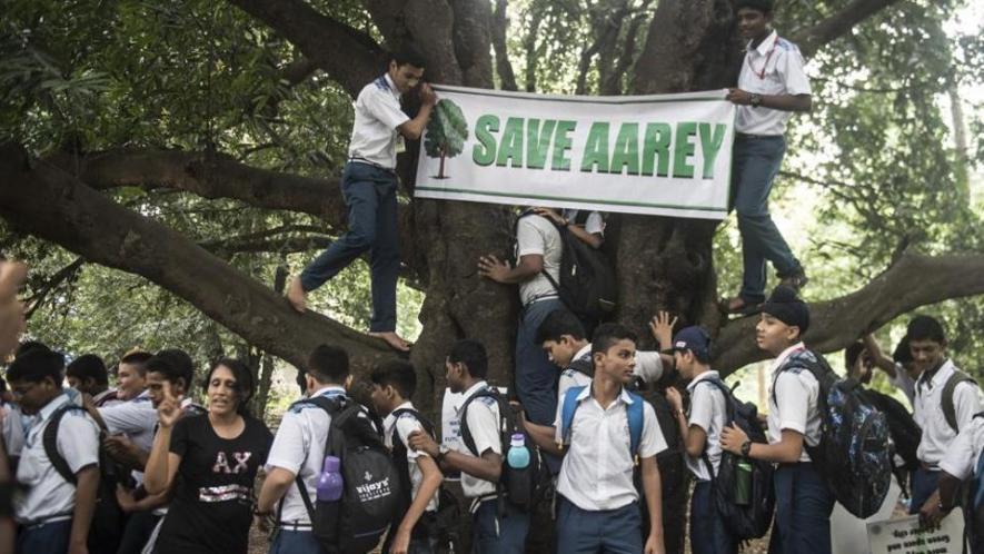 save aarey