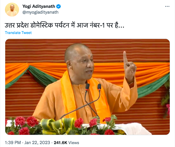 yogi