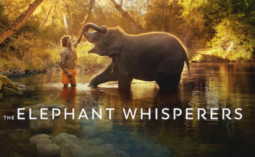 The Elephant Whisperers