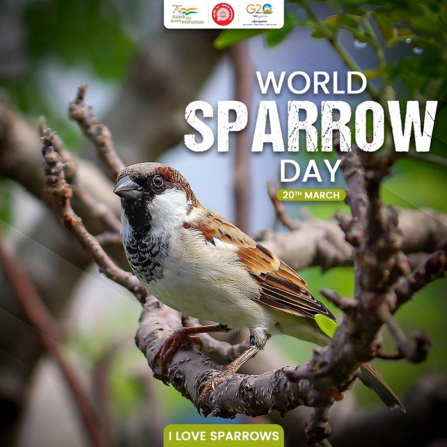 World Sparrow Day