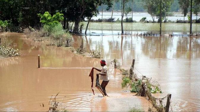 Flood