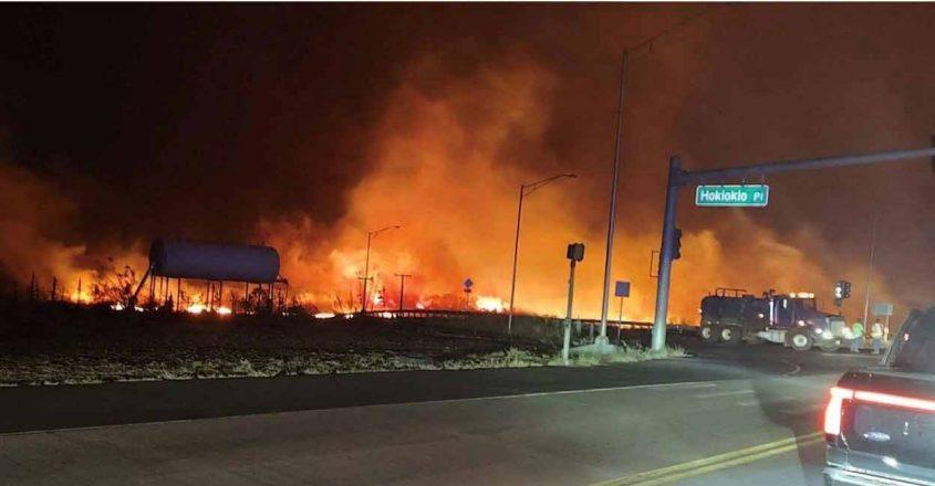 Wildfire