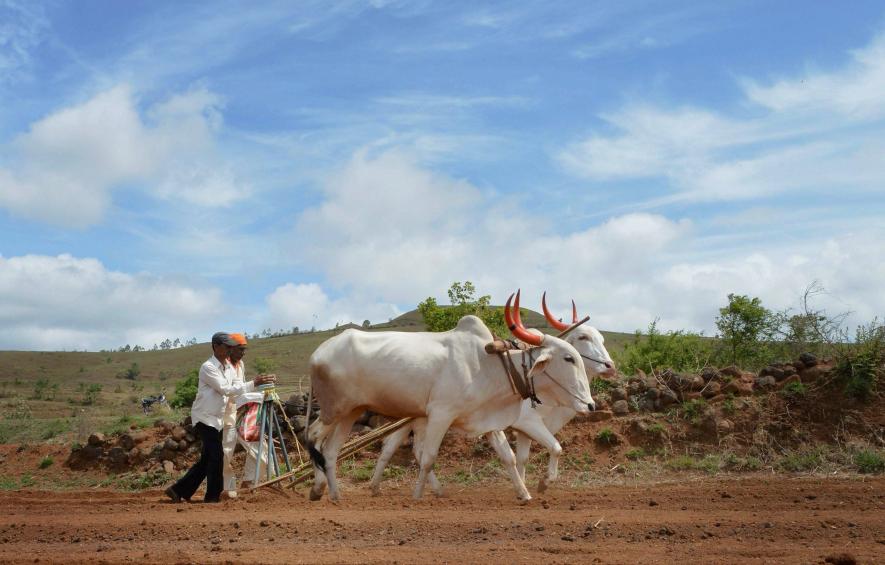 farmers