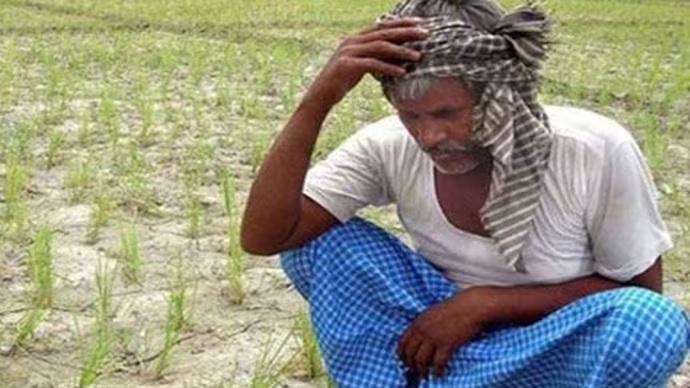 Farmer 