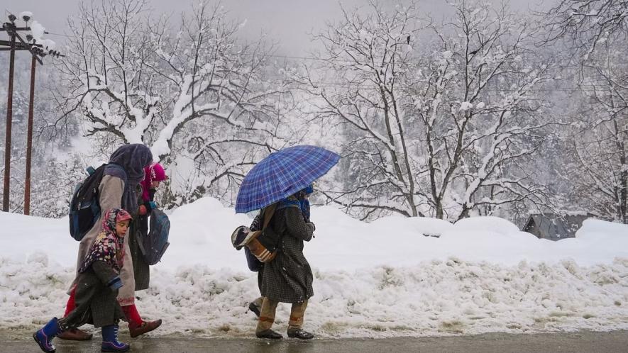 kashmir