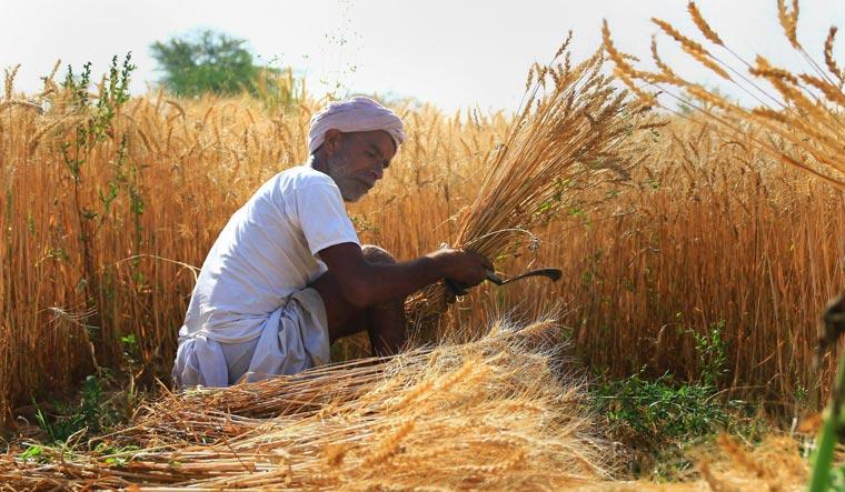 Farmers