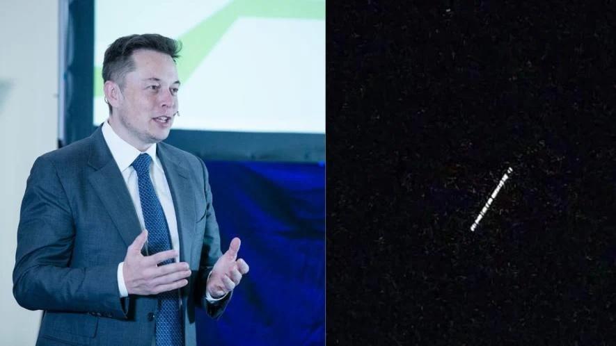 musk
