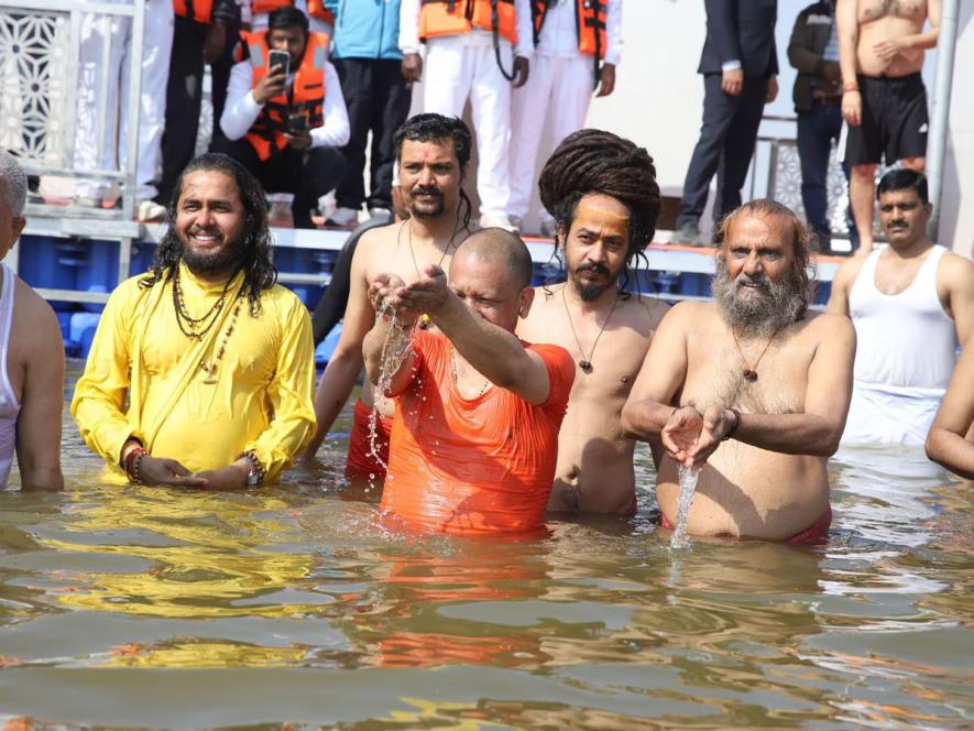 yogi