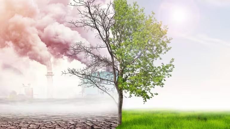 Air pollution