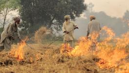 खेत में पराली जलाते किसान (फाइल फोटो)