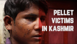 कश्मीर में बिहार का मज़दूर पैलेट गन का शिकार, आंखें गंवाईं