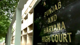 haryana pubab high court
