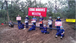 coal harm death