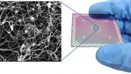 Artificial Metallic Nanowire Network