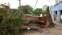 उत्तर प्रदेश : आंधी-तूफान में 28 लोगों की मौत, फसलों का भारी नुकसान
