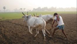 ग्रामीण भारत में कोरोना